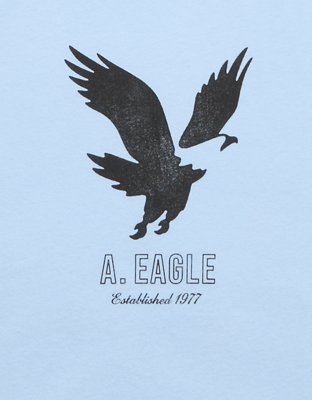 AE Lightweight Icon Logo Graphic T-Shirt