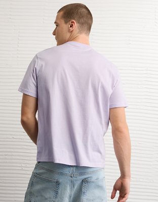 AE Standard Fit Lightweight Logo Graphic T-Shirt