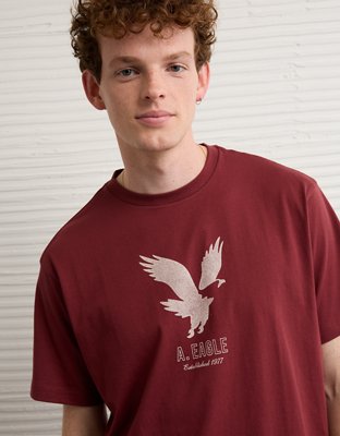 AE Lightweight Icon Logo Graphic T-Shirt