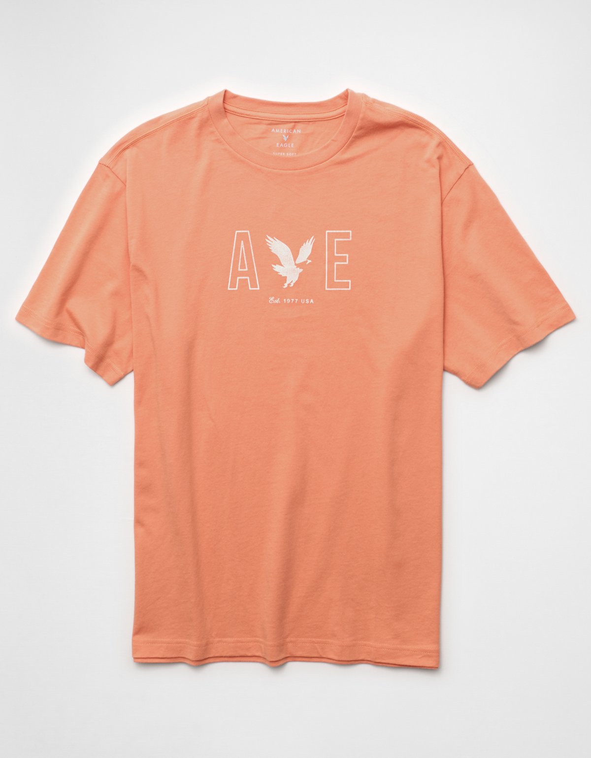 AE Lightweight Icon Logo Graphic T-Shirt - image 3
