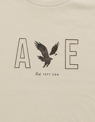 AE Lightweight Icon Logo Graphic T-Shirt