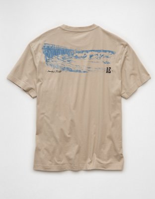 AE Standard Fit Graphic Logo T-Shirt