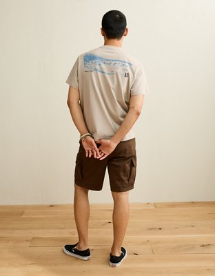 AE Standard Fit Graphic Logo T-Shirt