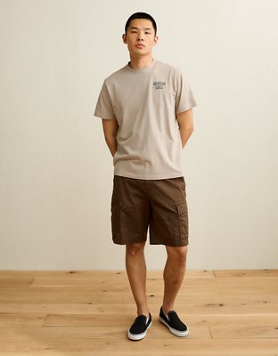 AE Standard Fit Graphic Logo T-Shirt