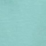 Bright Teal