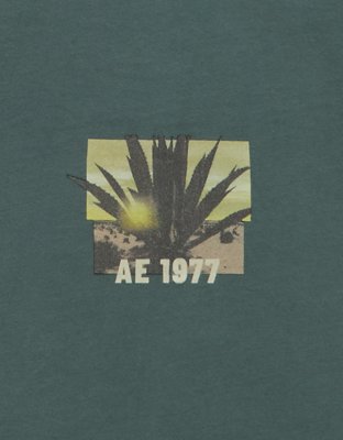 AE Boxy Fit Destination Graphic T-Shirt