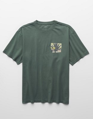 AE Standard Fit Destination Graphic T-Shirt