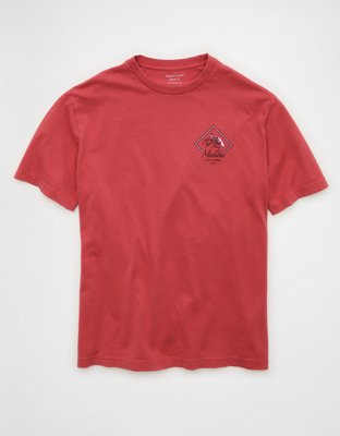 シンゾーン AMERICAN EAGLE Tシャツ AE Oversized Blink-182 Graphic T-Shirt - Blue | American Eagle