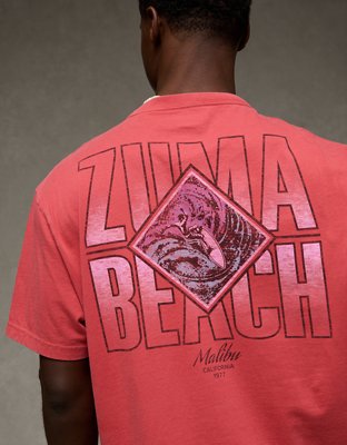 AE Standard Fit Destination Graphic T-Shirt