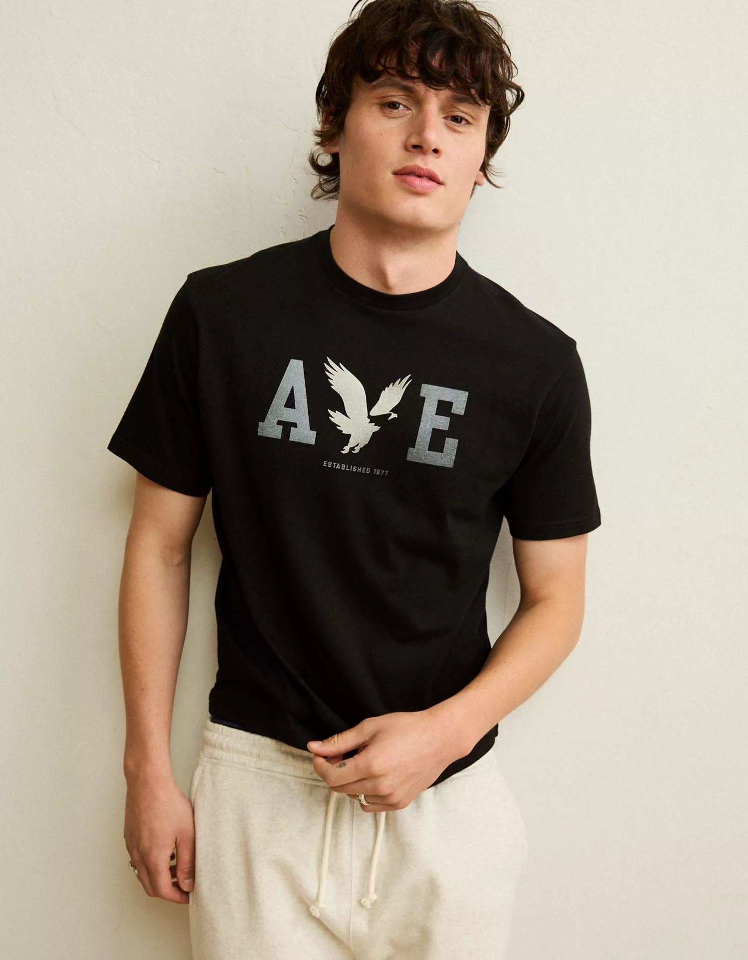 AE Standard Fit Lightweight Logo Graphic T-Shirt - thumbnail 7