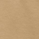 Desert Khaki