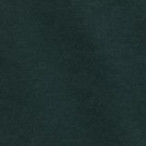 Camper Green