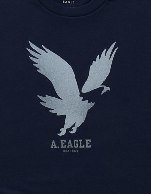 AE Standard Fit Lightweight Logo Graphic T-Shirt
