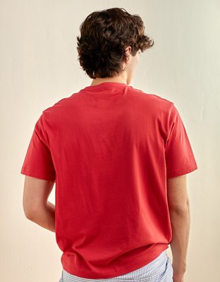 AE Standard Fit Lightweight Logo Graphic T-Shirt