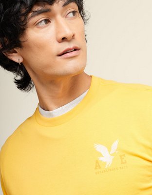 AE Standard Fit Lightweight Logo Graphic T-Shirt