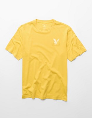 AE Standard Fit Lightweight Logo Graphic T-Shirt