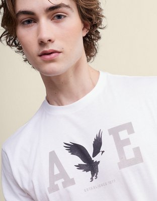 AE Standard Fit Lightweight Logo Graphic T-Shirt