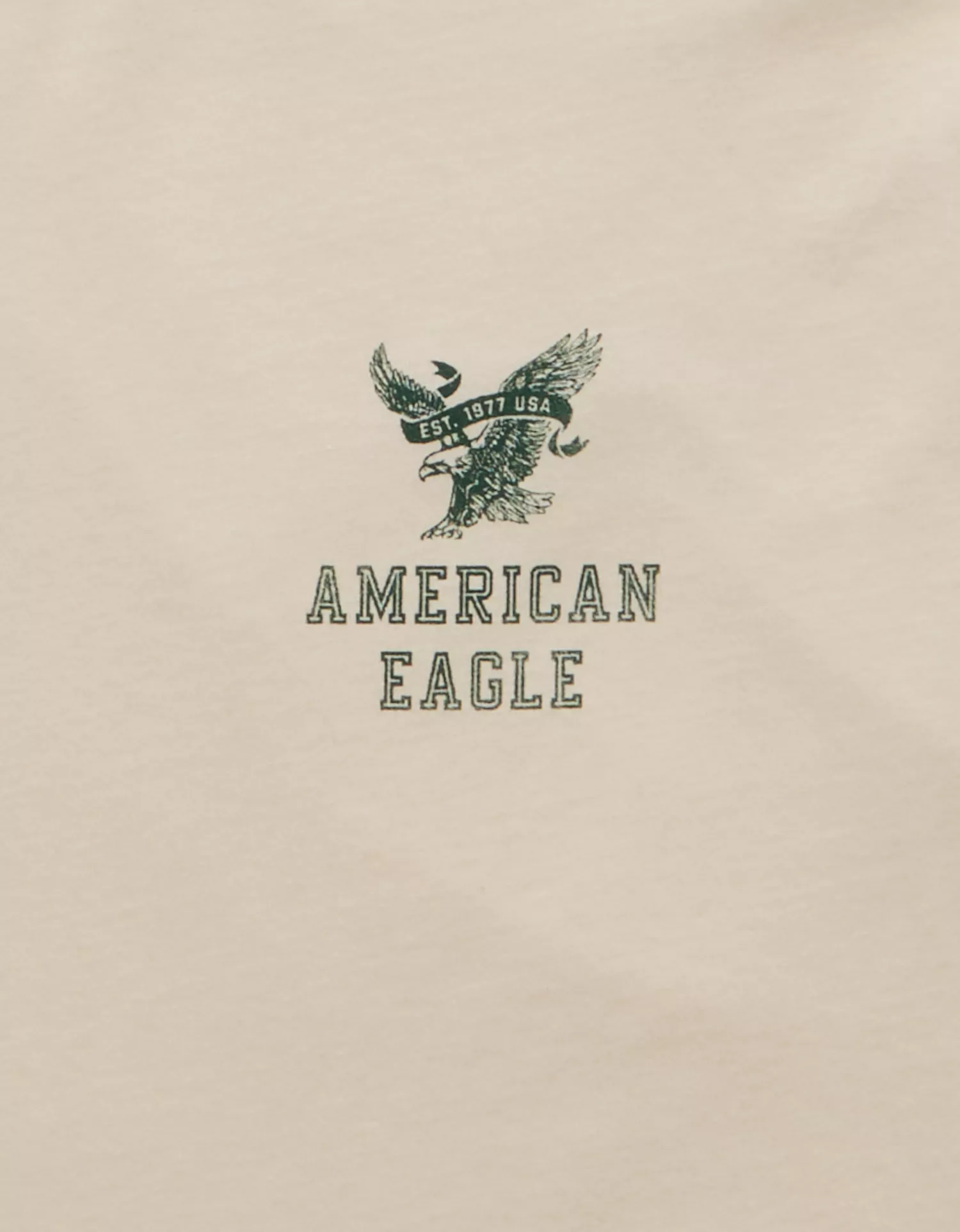 AE Standard Fit Graphic Logo T-Shirt - thumbnail 5