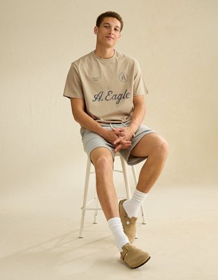 AE Standard Fit Graphic Logo T-Shirt