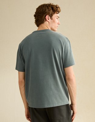 AE Standard Fit Graphic Logo T-Shirt