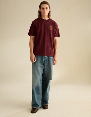 AE Standard Fit Graphic Logo T-Shirt