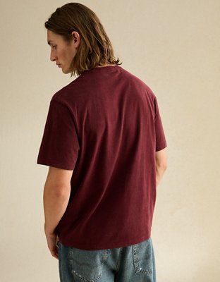 AE Standard Fit Graphic Logo T-Shirt