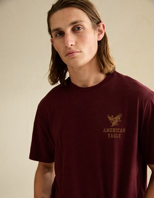 AE Standard Fit Graphic Logo T-Shirt