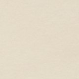 Bone Khaki