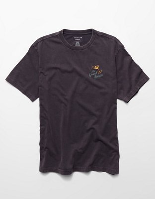AE Standard Fit Graphic T-Shirt