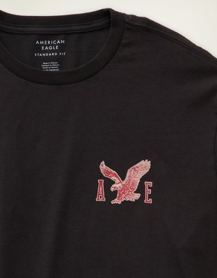 AE Standard Fit Graphic Logo T-Shirt