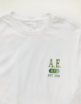 AE Standard Fit Graphic Logo T-Shirt