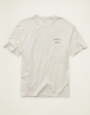 AE Standard Fit Graphic Logo T-Shirt