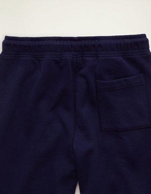 Мужские брюки American Eagle AE Notre Dame Fleece Sweatpant, цвет: Зелёный — фото 2