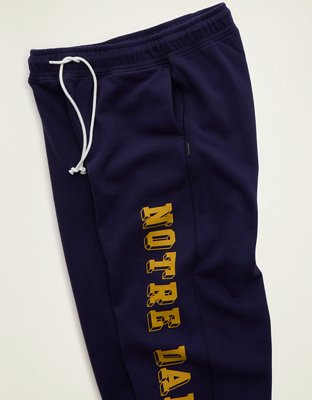 Мужские брюки American Eagle AE Notre Dame Fleece Sweatpant, цвет: Зелёный — фото 3