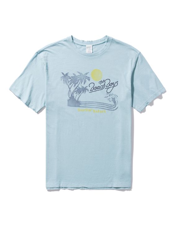 AE Beach Boys Graphic T-Shirt