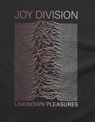 AE Boxy Joy Division Graphic T-Shirt