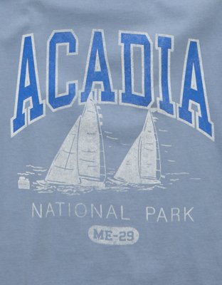 AE Boxy Acadia Nat'l Park Graphic T-Shirt
