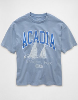 AE Boxy Acadia Nat'l Park Graphic T-Shirt