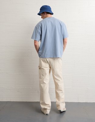 AE Boxy Acadia Nat'l Park Graphic T-Shirt