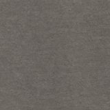 Grey Shadow