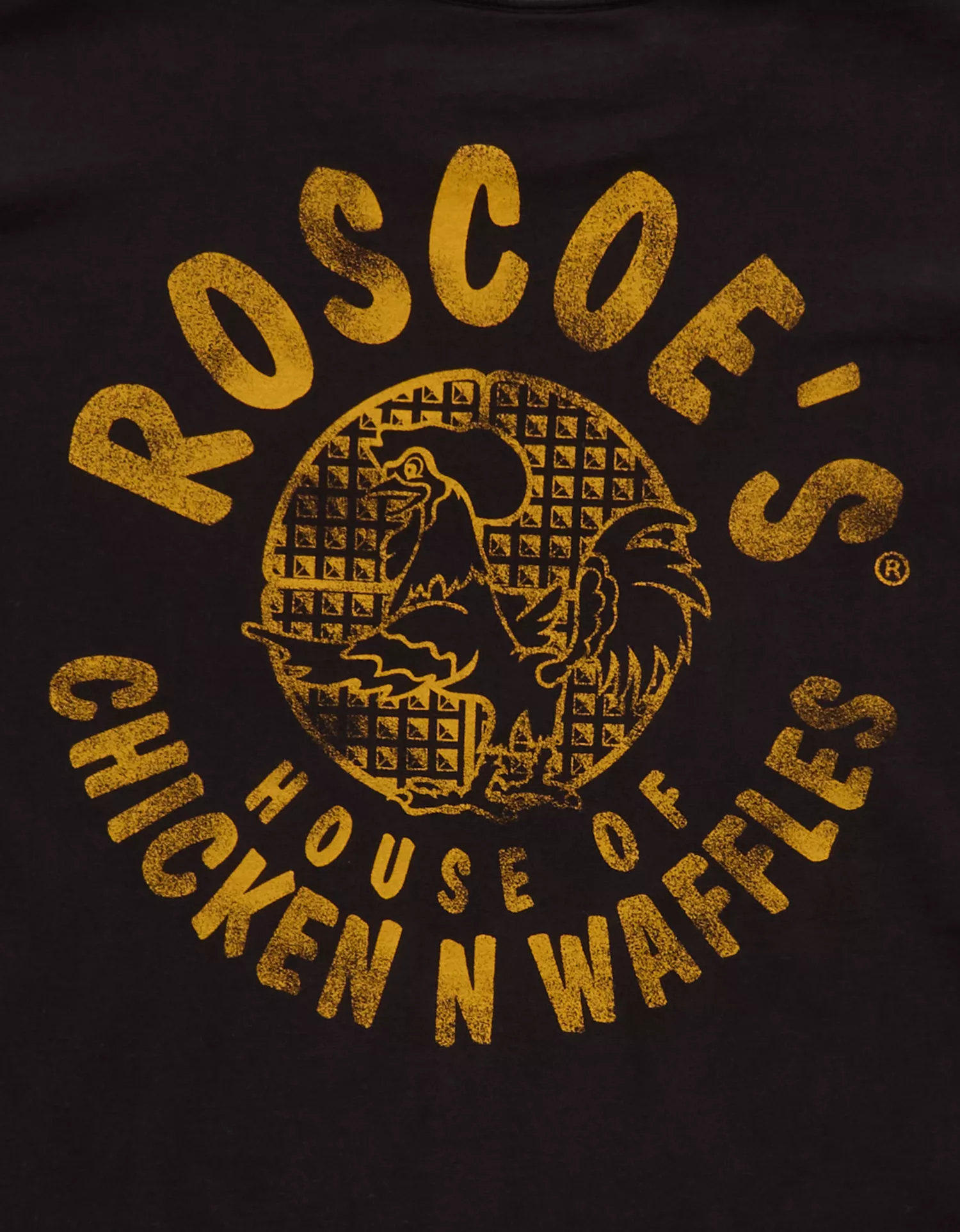AE Boxy Fit Roscoe's Graphic T-Shirt - thumbnail 8