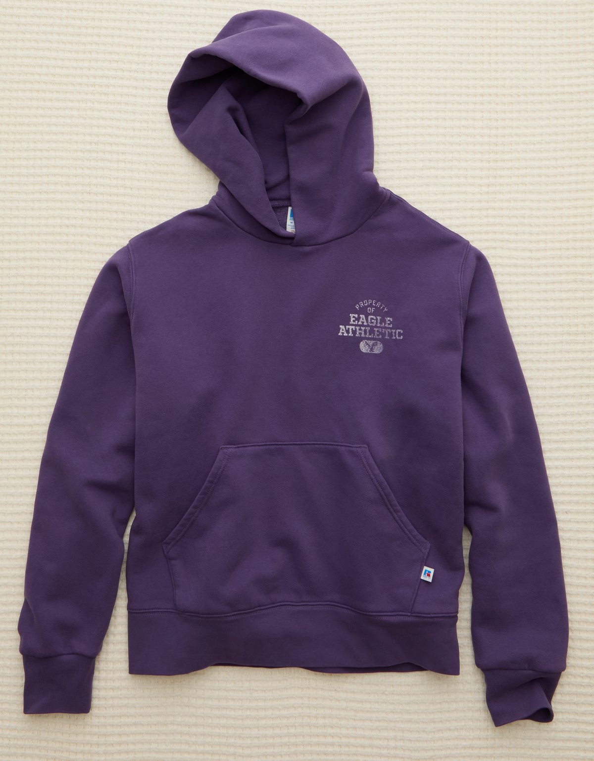 AE x Russell Athletic Hoodie - image 3