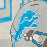 AE NFL Detroit Lions Graphic Hoodie