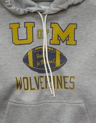 AE 24/7 Michigan Wolverines Graphic Hoodie