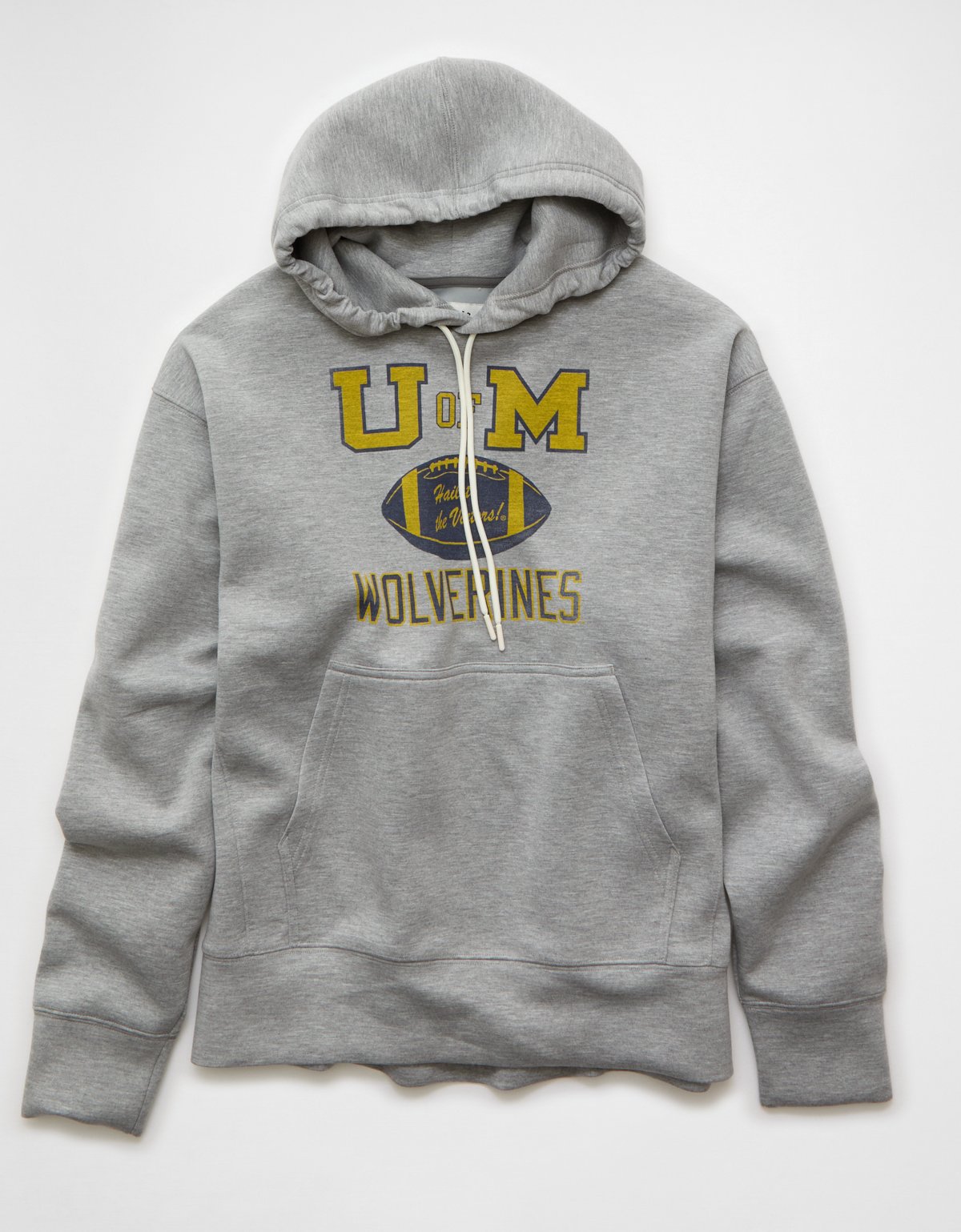 AE 24/7 Michigan Wolverines Graphic Hoodie - image 3