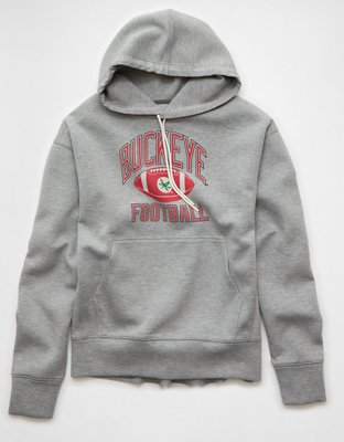 AE 24/7 Ohio State Buckeyes Graphic Hoodie