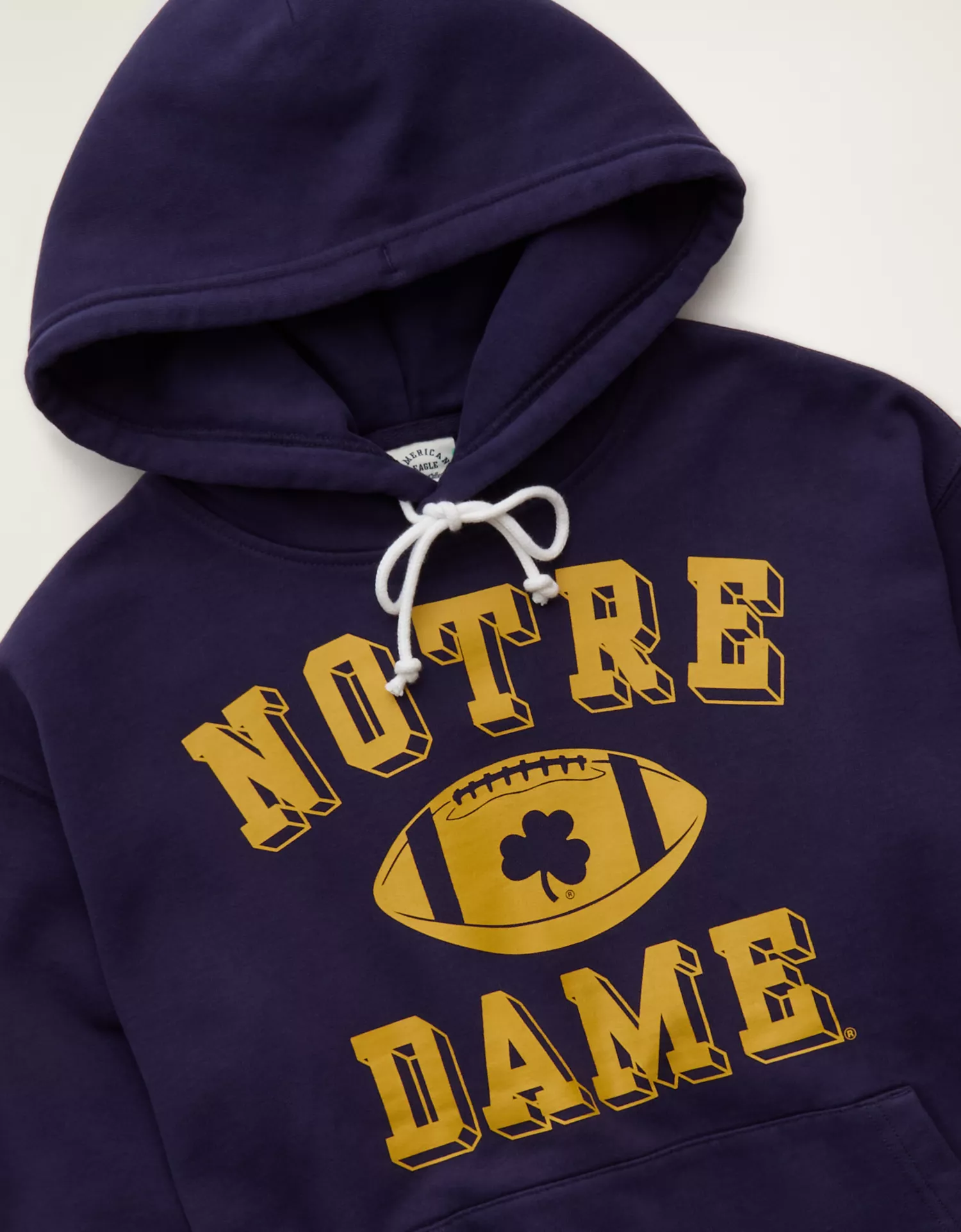 AE Laidback Luxe Notre Dame Graphic Hoodie - thumbnail 2