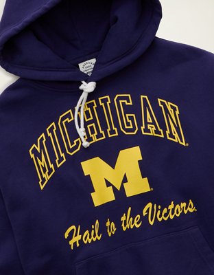 AE Laidback Luxe Michigan Wolverines Graphic Hoodie