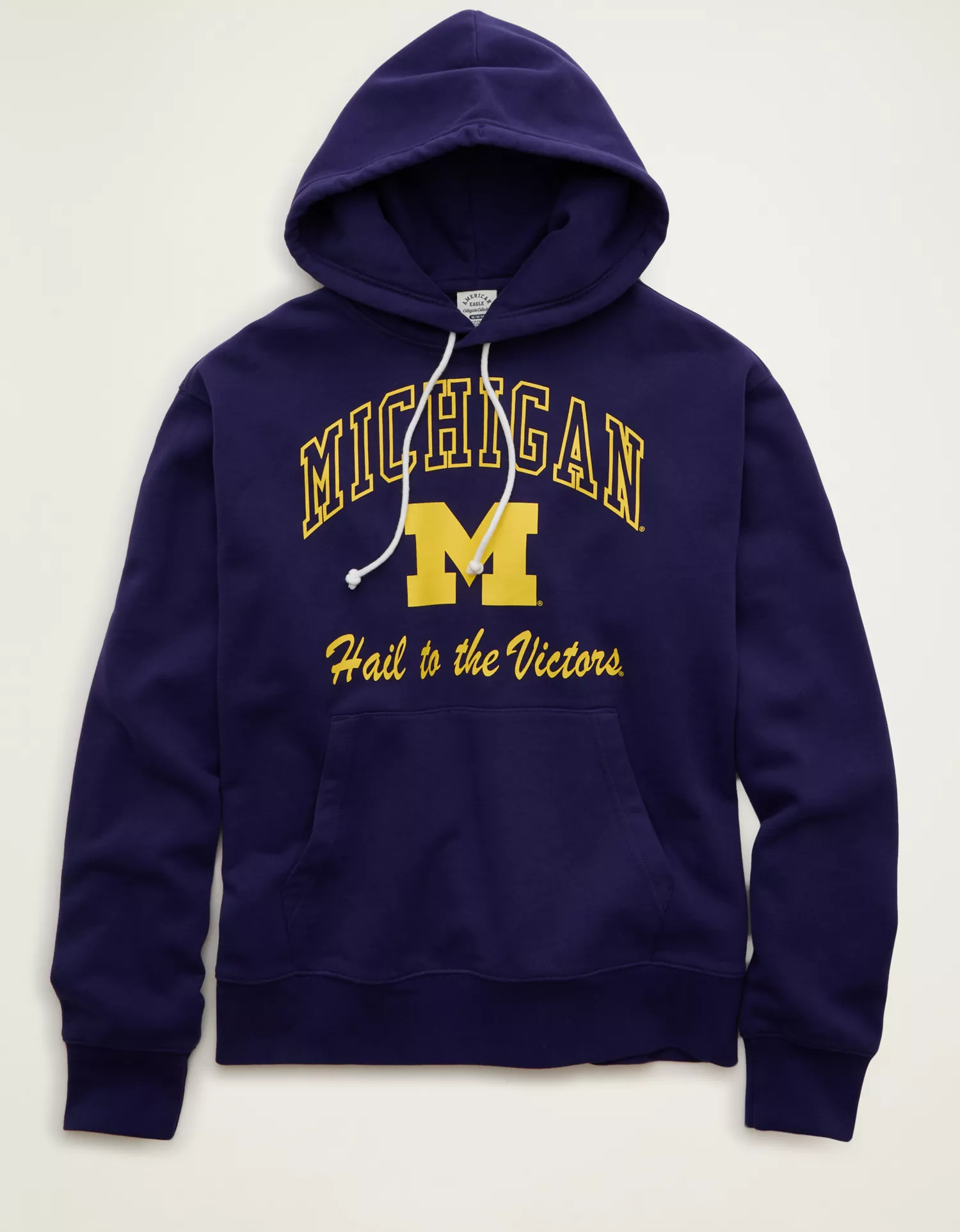 AE Laidback Luxe Michigan Wolverines Graphic Hoodie
