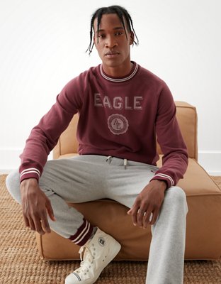 AE Super Soft Fleece Graphic Crew Neck Sweatshirt